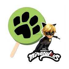 Miraculous Cat Noir Ice Cream